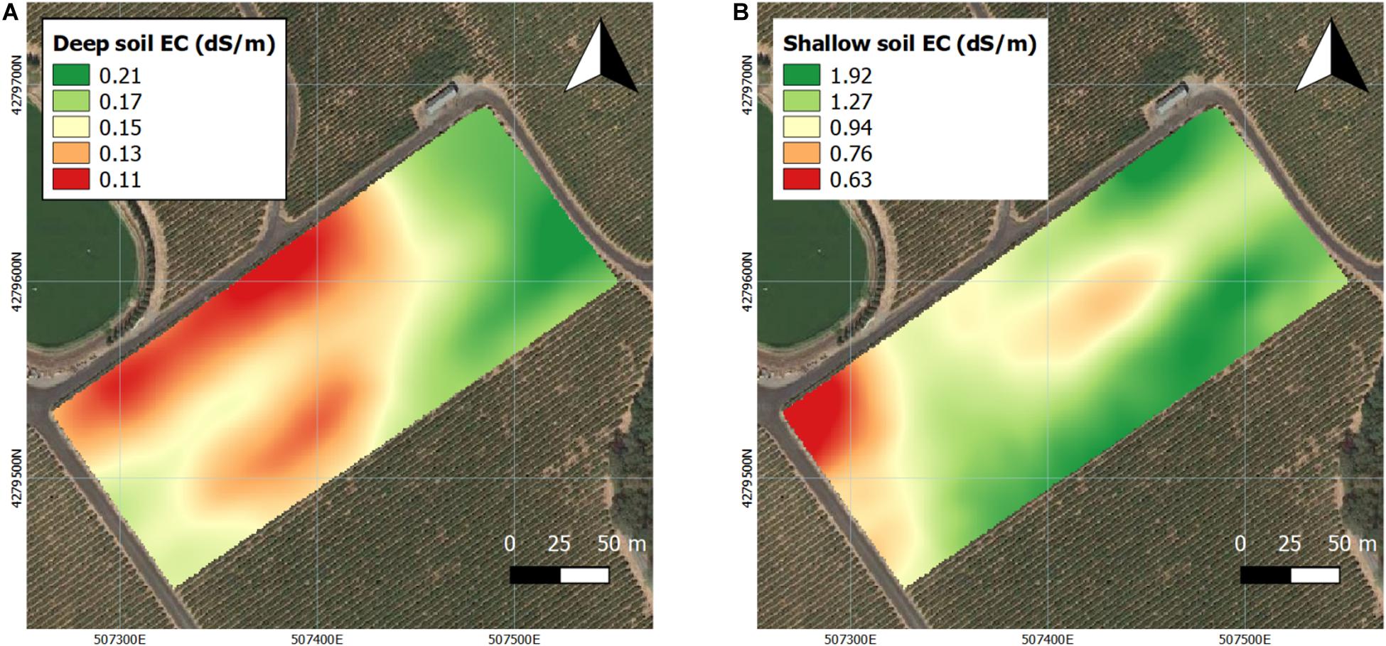 Frontiers | Spatial Variability of Soil and Plant Water Status and Their Cascading Effects on Grapevine Physiology Are Linked to Berry and Wine Chemistry